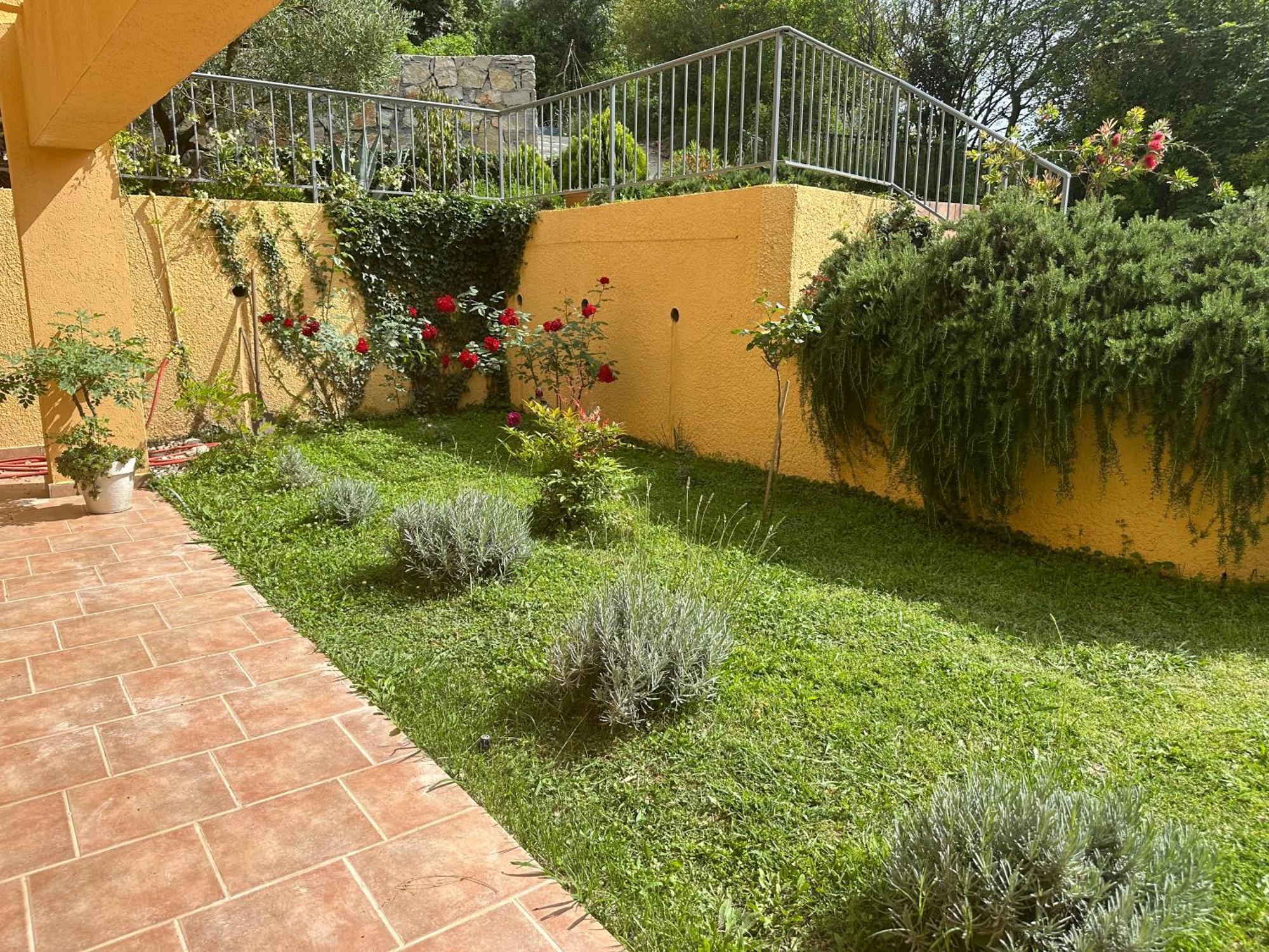 Villa Risan Apartments Exterior photo
